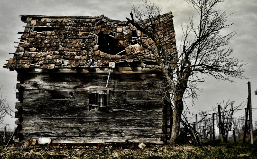 Abandoned house II