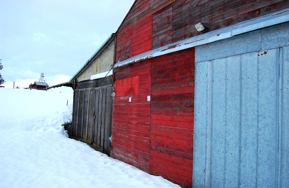 Sheds in the snow